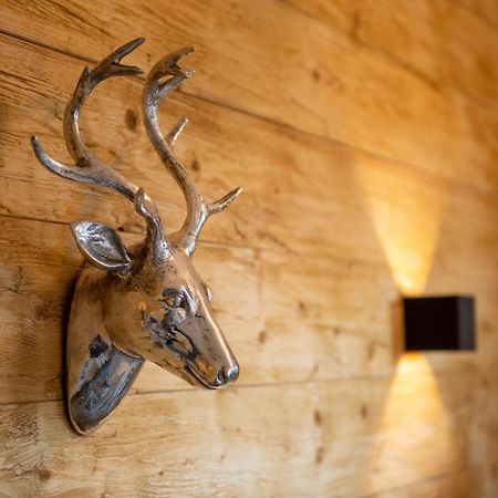 Auszeit Im Harz Haus 3 Wohnung 6 ブラウンラーゲ エクステリア 写真
