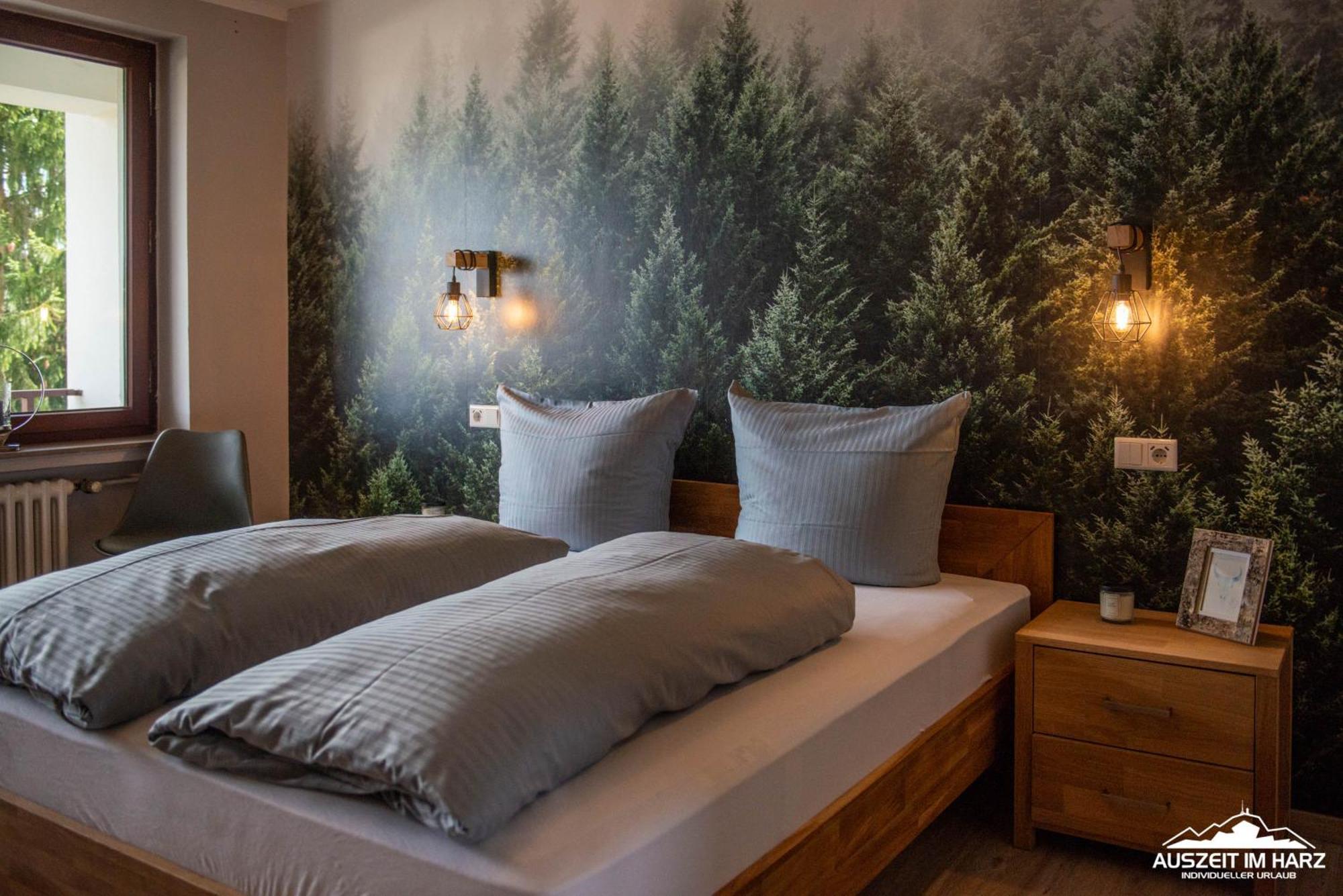 Auszeit Im Harz Haus 3 Wohnung 6 ブラウンラーゲ エクステリア 写真