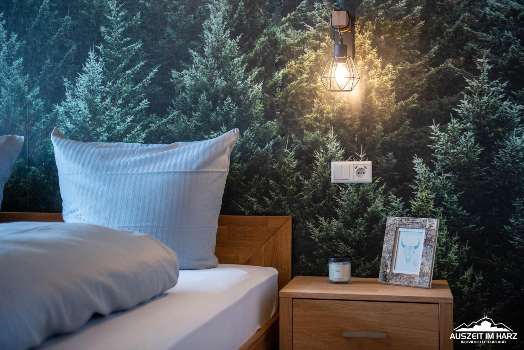 Auszeit Im Harz Haus 3 Wohnung 6 ブラウンラーゲ エクステリア 写真